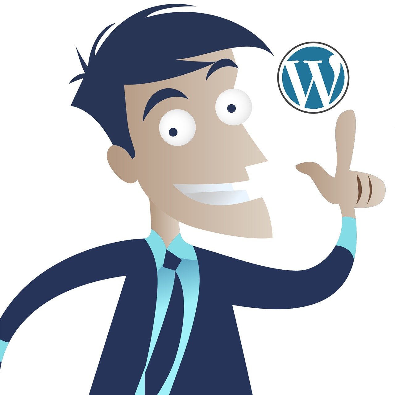 wordpress